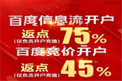 竞价排名案例：优化广告预算分配